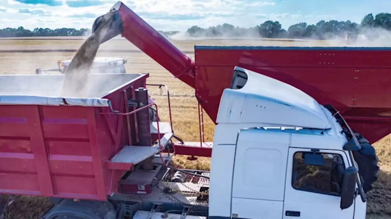 Los exportadores de cereales destacaron el nuevo sistema anunciado por Massa