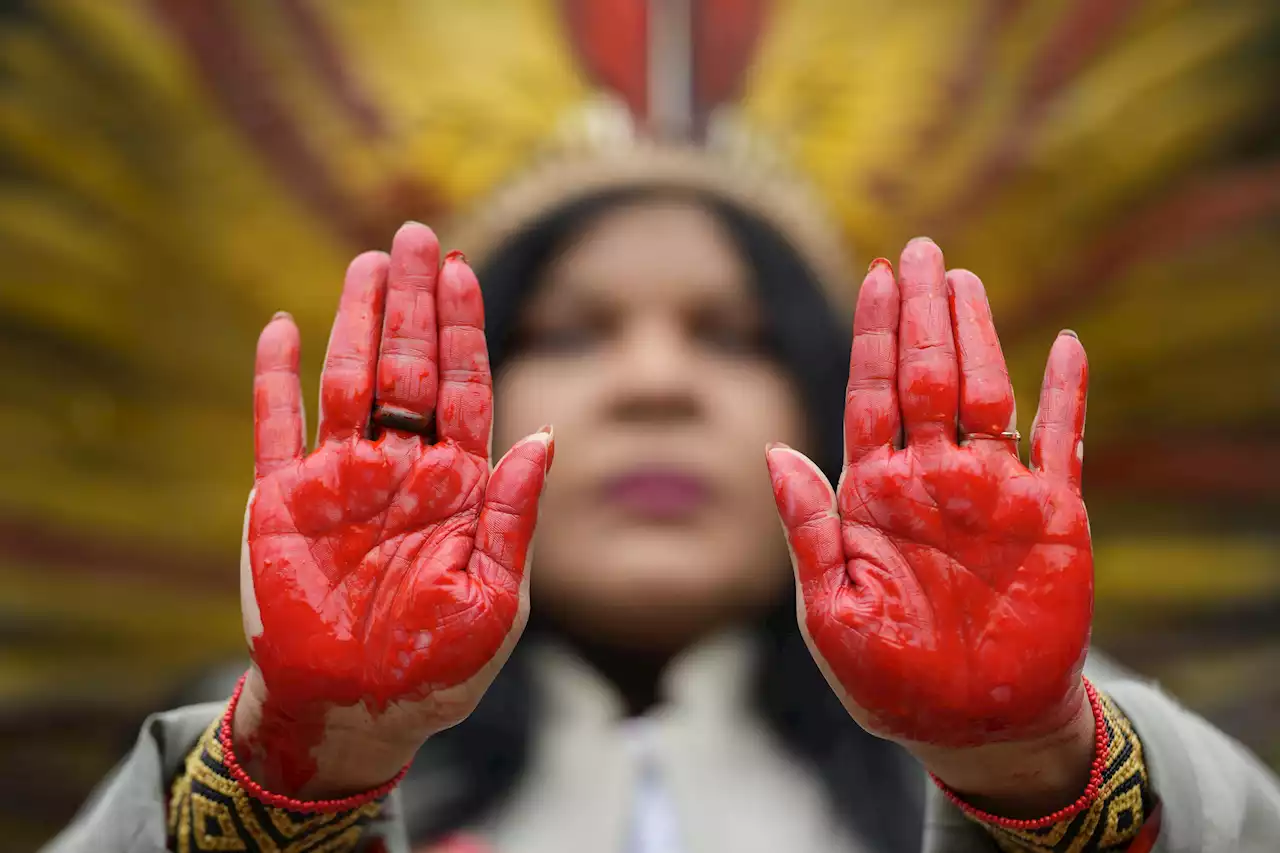 Indigenous 'forest guardians' reported slain in Brazil