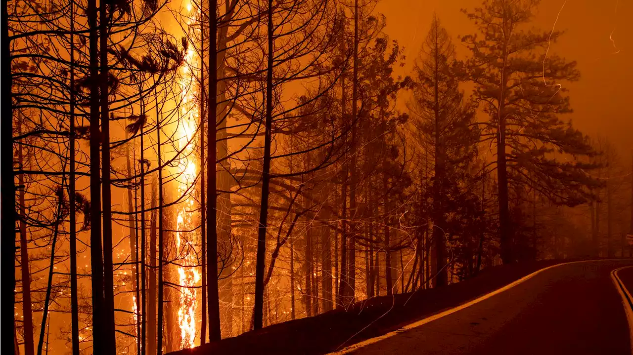 California wildfires rage as scorching heat wave continues