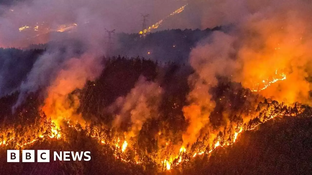 Chinese motorcyclists join wildfire battle