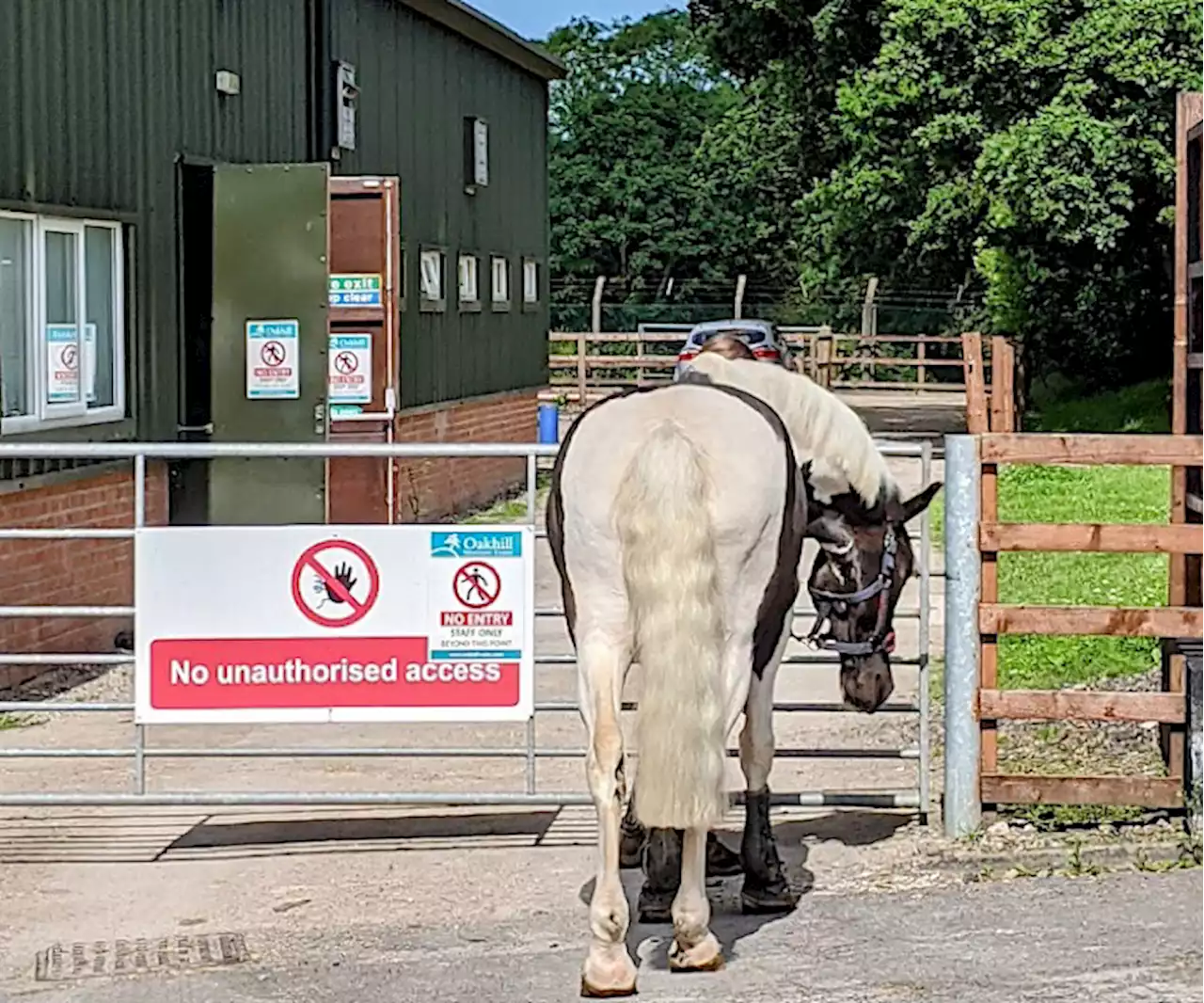 Oakhill Veterinary Centre set to expand at Goosnargh premises