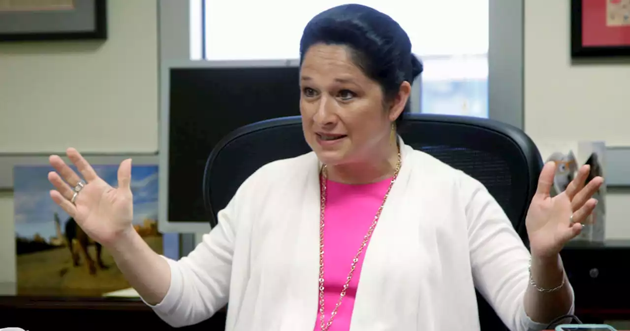 Illinois Comptroller Susana Mendoza tests positive for COVID-19