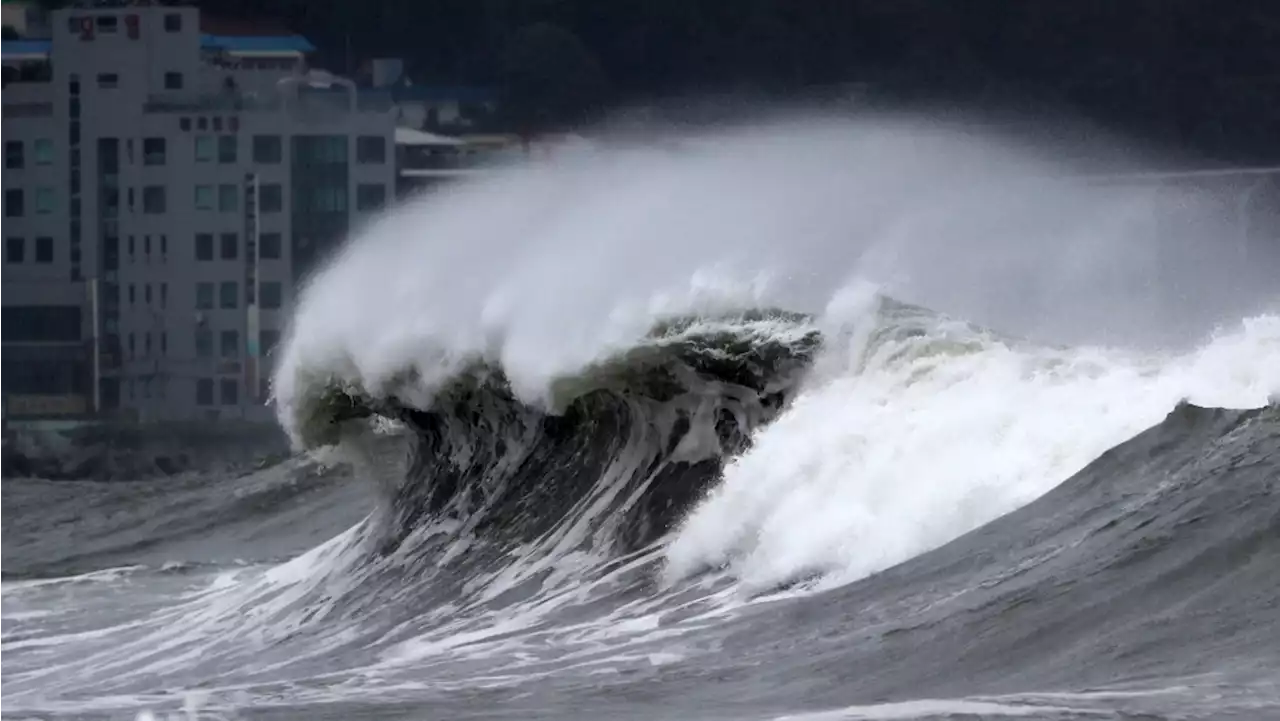 Flights grounded in South Korea as Typhoon Hinnamnor nears