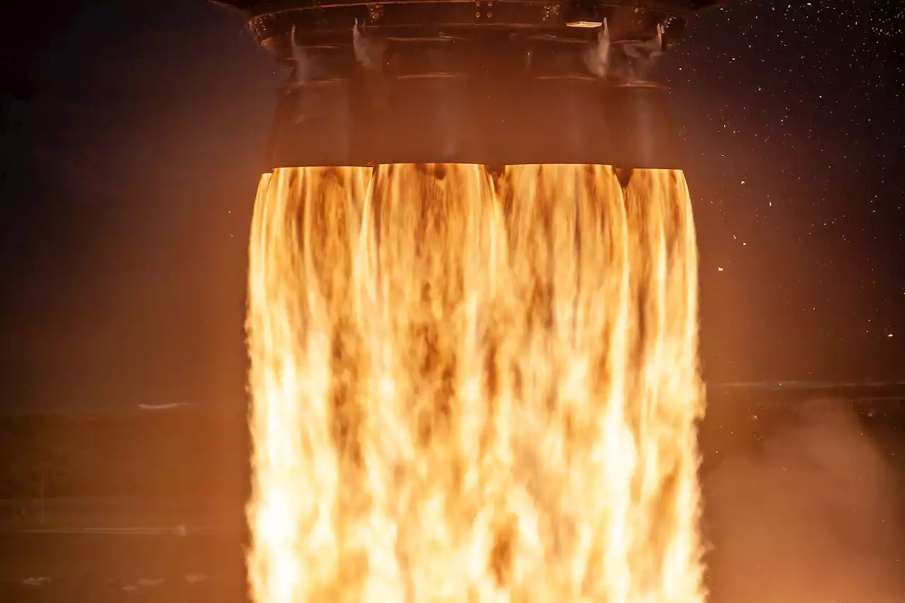 After SLS rocket flop, space fans make do with SpaceX launch | Digital Trends