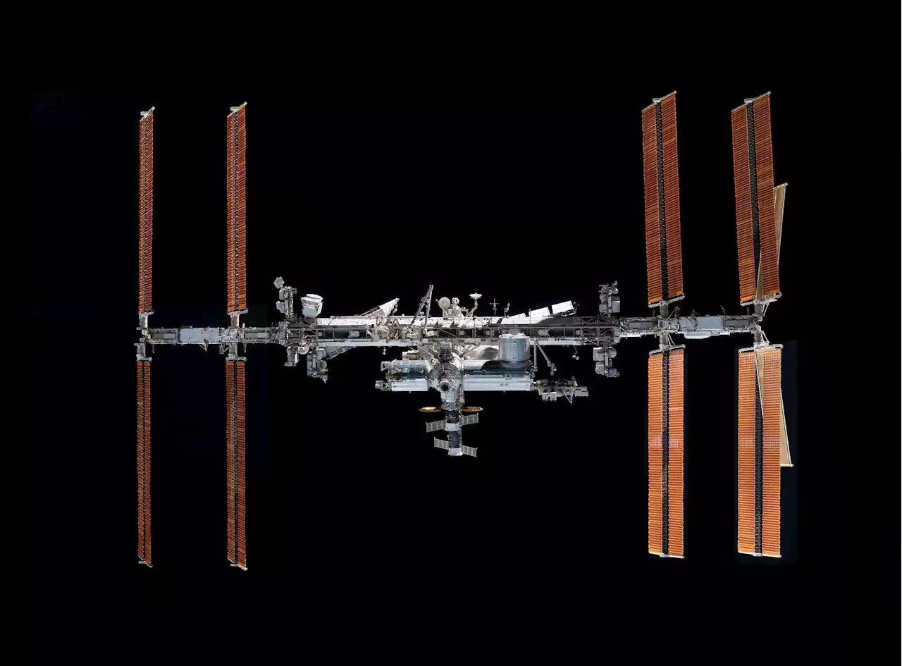 ISS astronaut shows how CPR is performed in space | Digital Trends