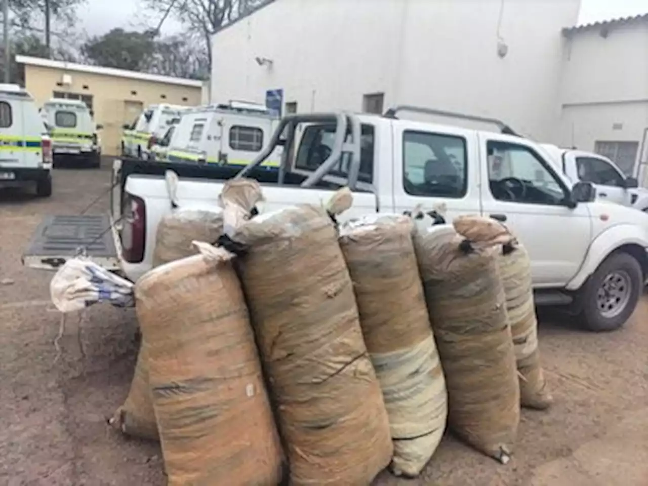 Two nabbed in KZN with dagga worth R1.2m