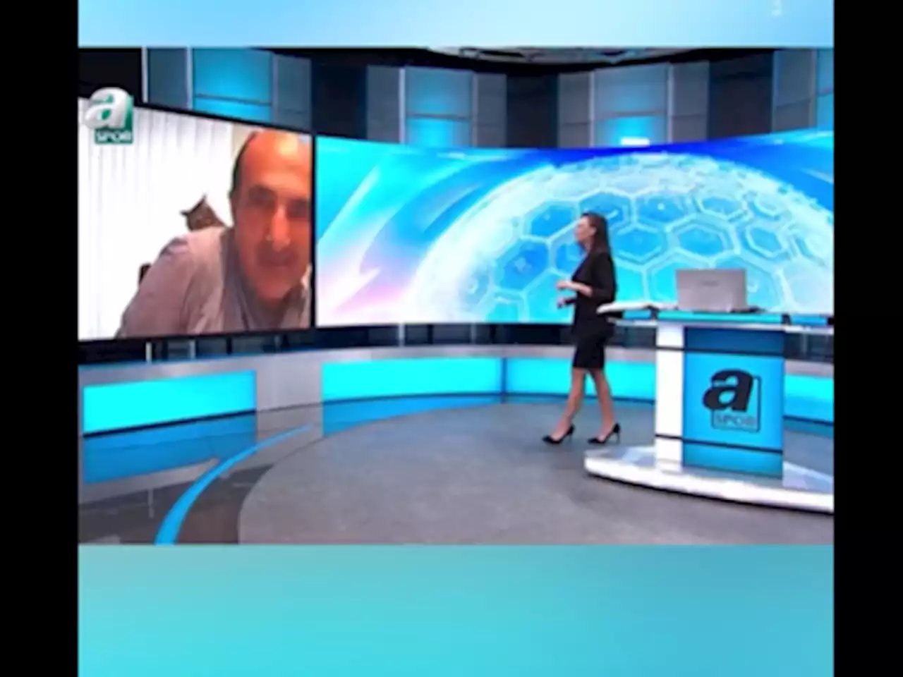 WATCH: Nothing like a slap on the head from your cat during a live interview?!
