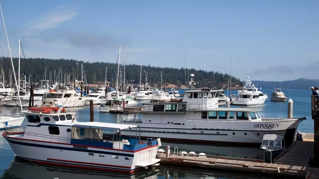 Puget Sound plane crash search for survivors continues