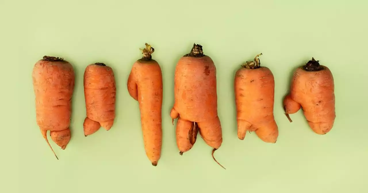 Finisterestes : des paniers de légumes 'moches' à 5 euros pour éviter le gaspillage alimentaire