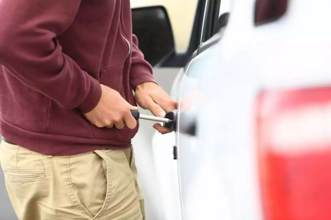 'Don’t make it easy for criminals' Police warn car owners as two arrested after alleged break-ins