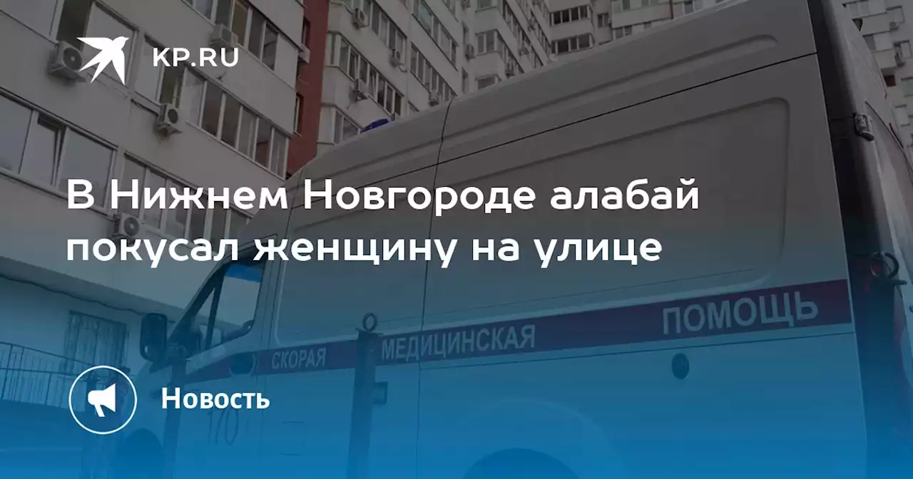 В Нижнем Новгороде алабай покусал женщину на улице