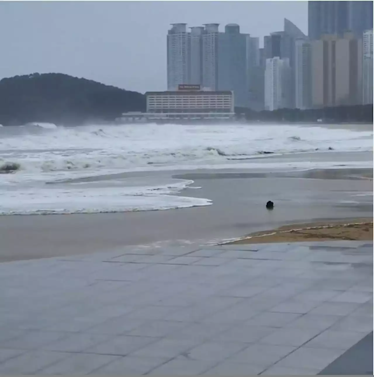 해운대 파고 점점 높아져...태풍 힌남노 상륙 앞두고 부산 초비상