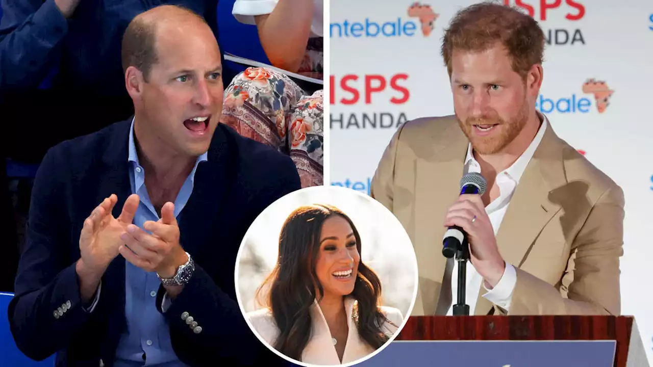 William 'avoiding Harry until after his memoir is out because he doesn't trust him to keep talks private'