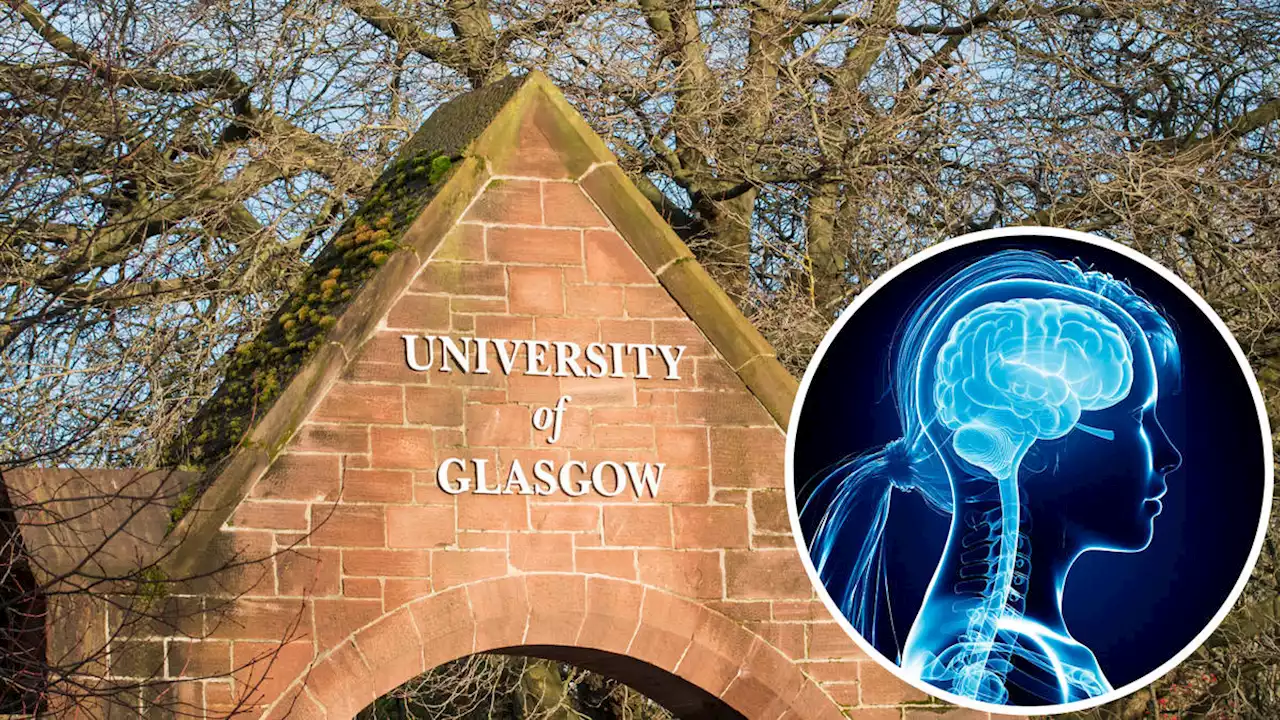 Top prof apologises for showing class cartoon of female brain with 'headache generator' and 'I told you so gland'