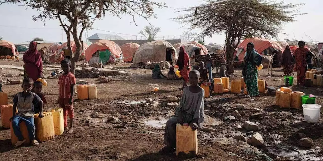 « Ultime avertissement » : la Somalie au bord d’une catastrophe alimentaire historique