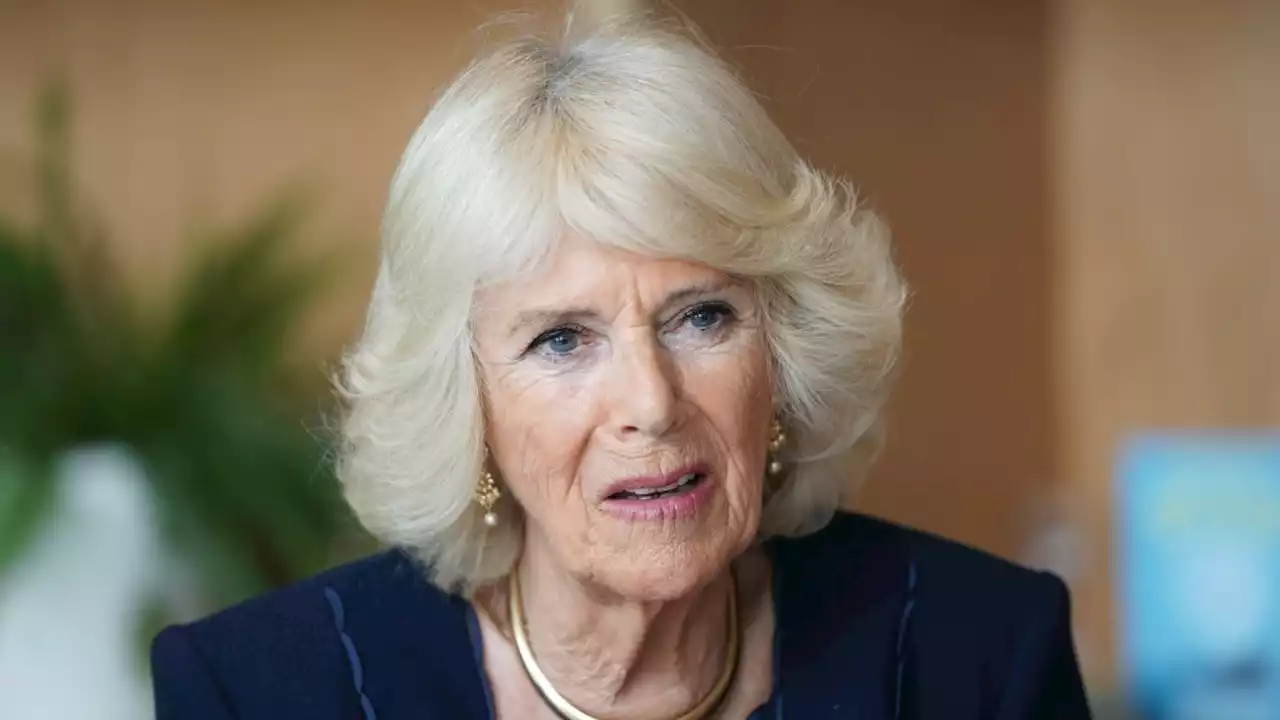 Camilla, Duchess of Cornwall “Lives in Dread” of Prince Harry’s Memoir, Tina Brown Says