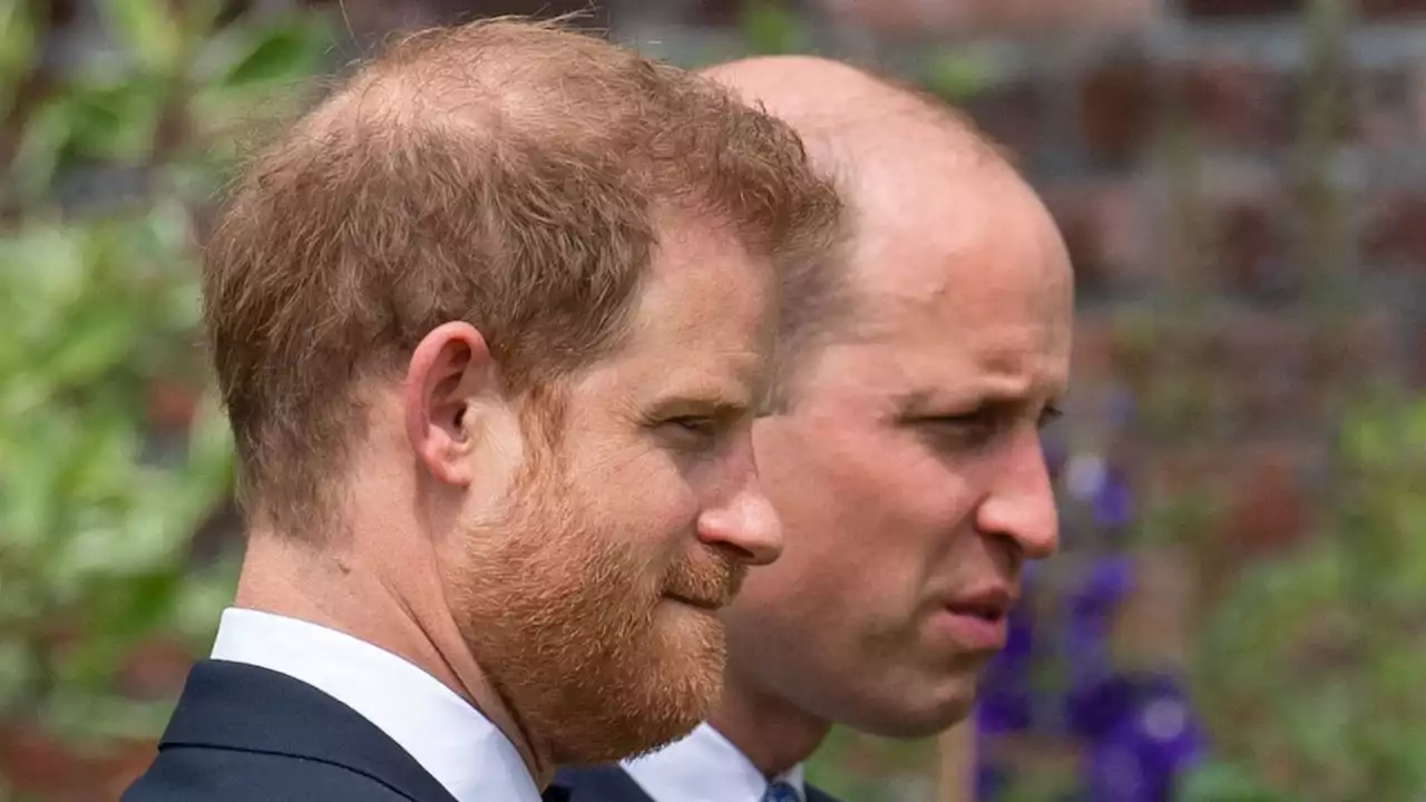 Prince William Reportedly Won’t See or Talk to Brother Prince Harry Until Harry’s Book Comes Out