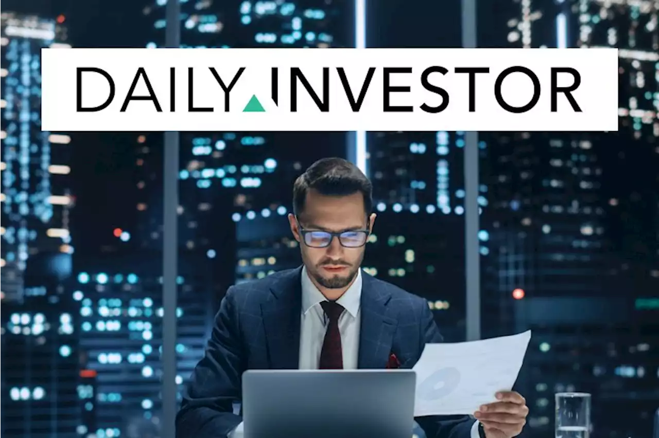 Daily Investor – South Africa’s premier site for fund managers, analysts, and investors