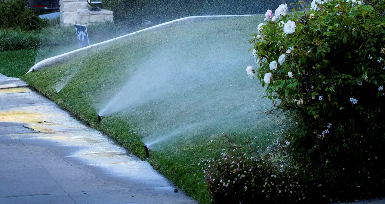 4 Million in LA County Asked to Suspend Outdoor Watering. Here's When and Where