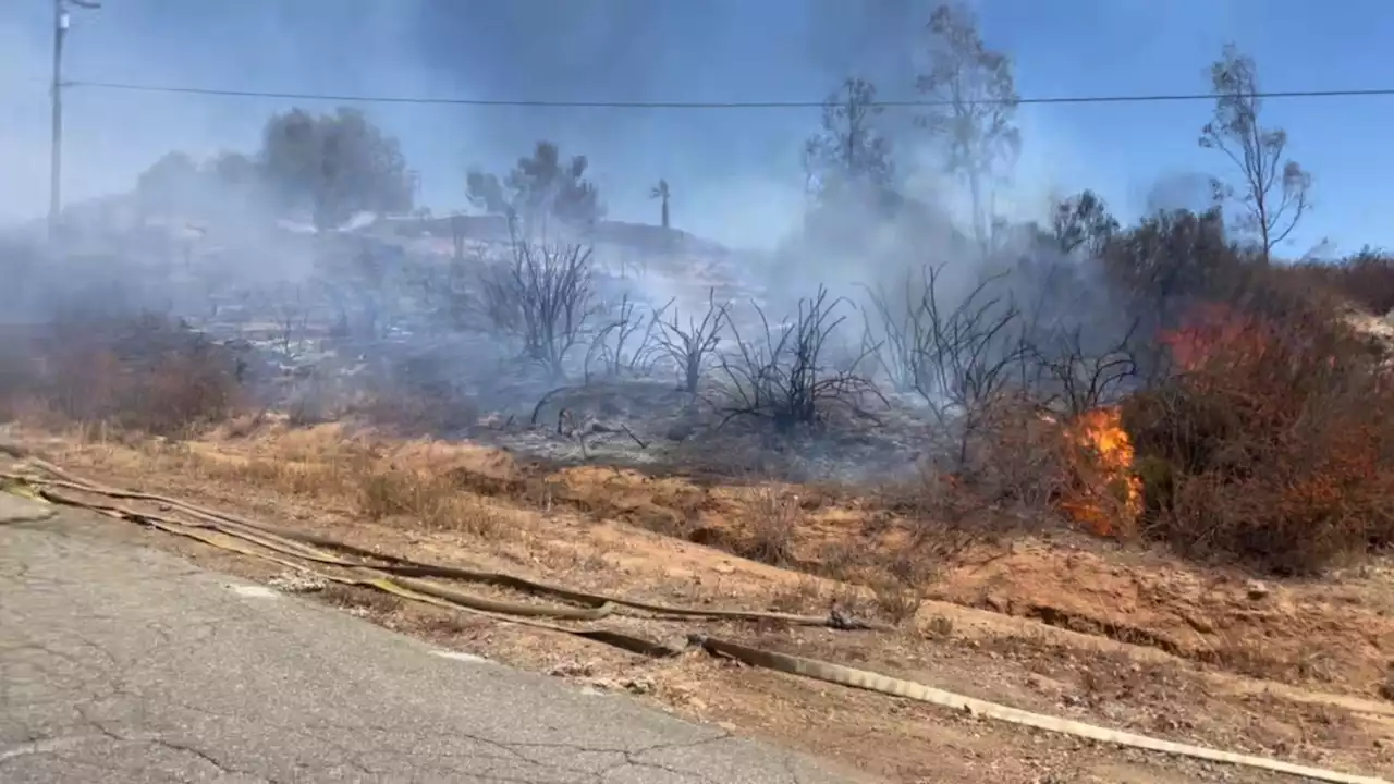 Brush Fire East of Ramona Halted at 50 Acres