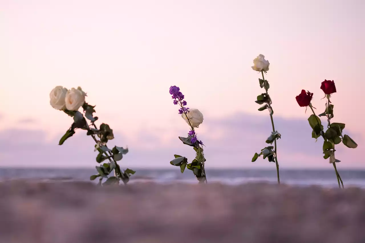 How Green Burials Work and How They Help the Environment