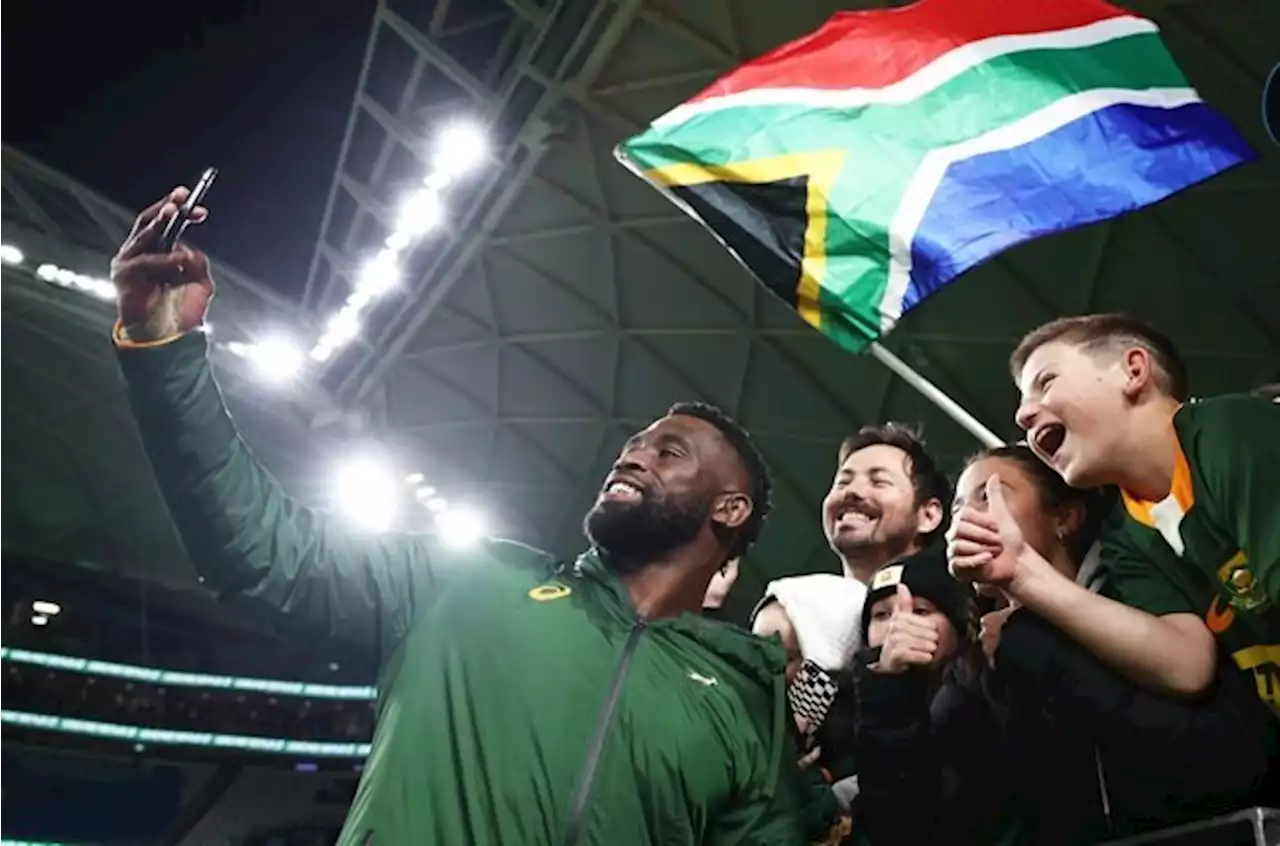 Kolisi: Springboks believe again after dominating Wallabies win | Sport