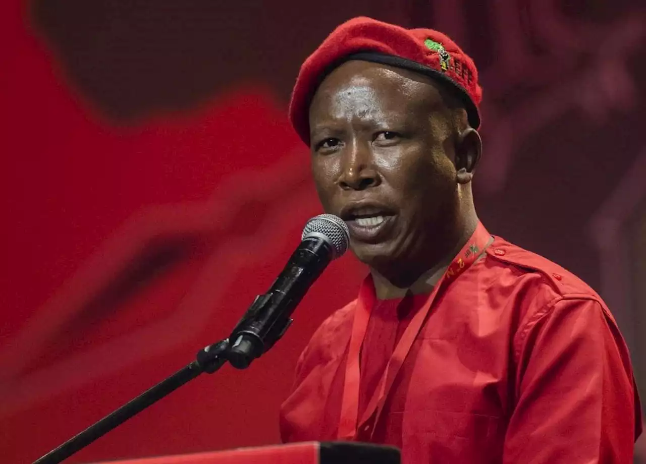 Malema gun case postponed till next year | News24