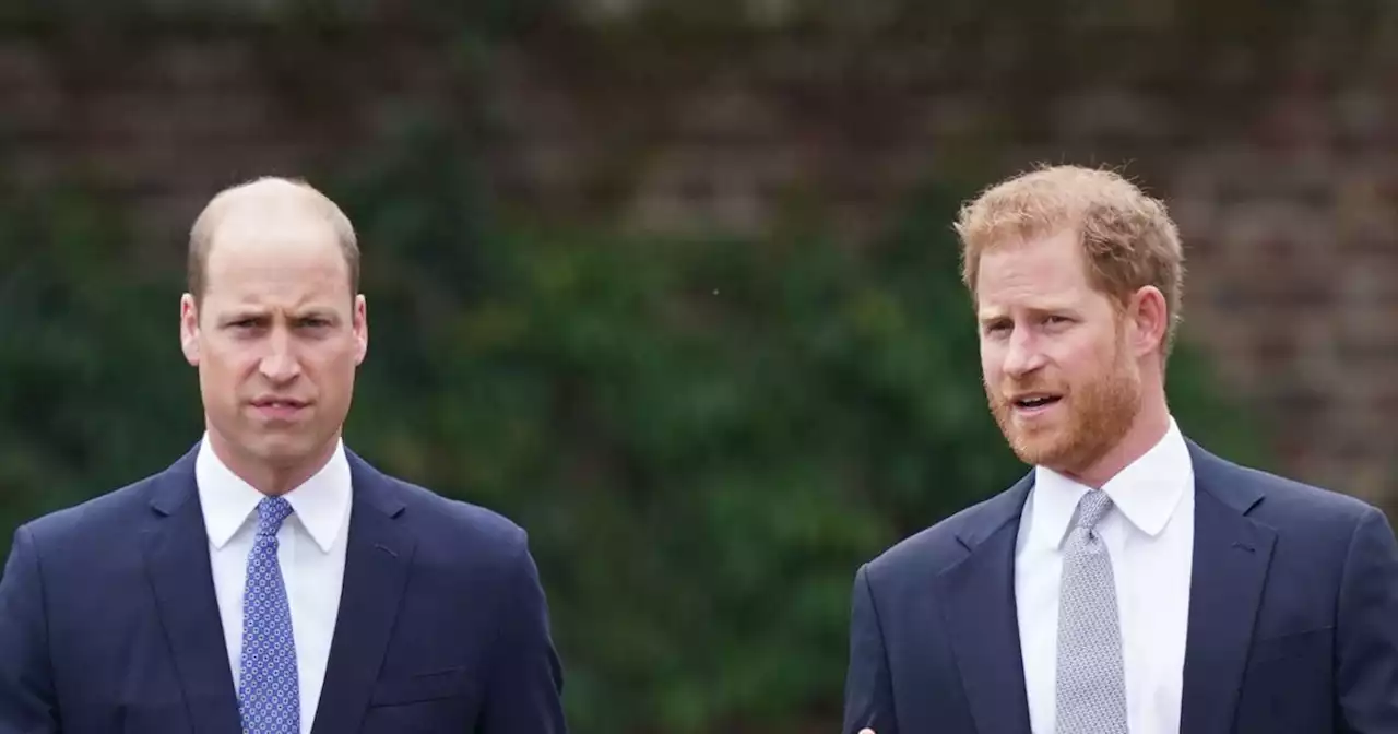 Prince Harry 'wants mediator to mend relationship' with brother William