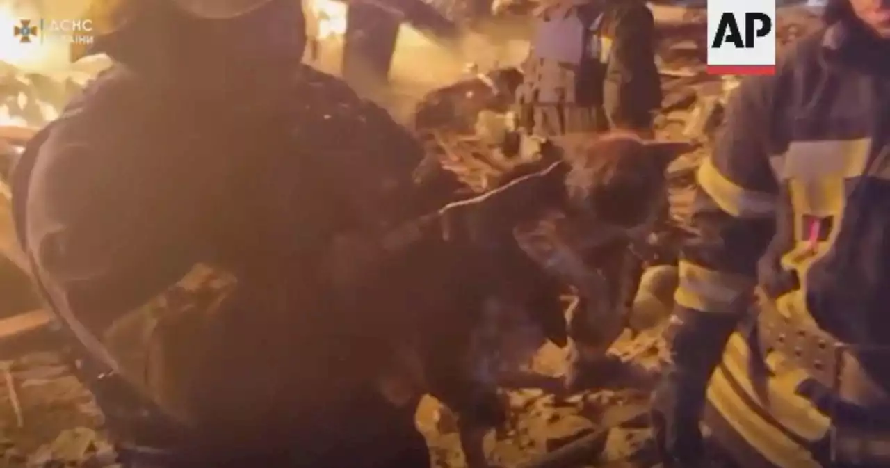 Ukrainian firefighters save kitten from building hit by rocket