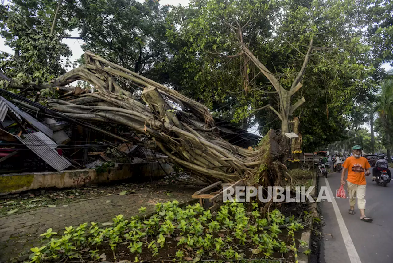 Kota Bogor Dikepung Angin Kencang dan Pohon Tumbang |Republika Online