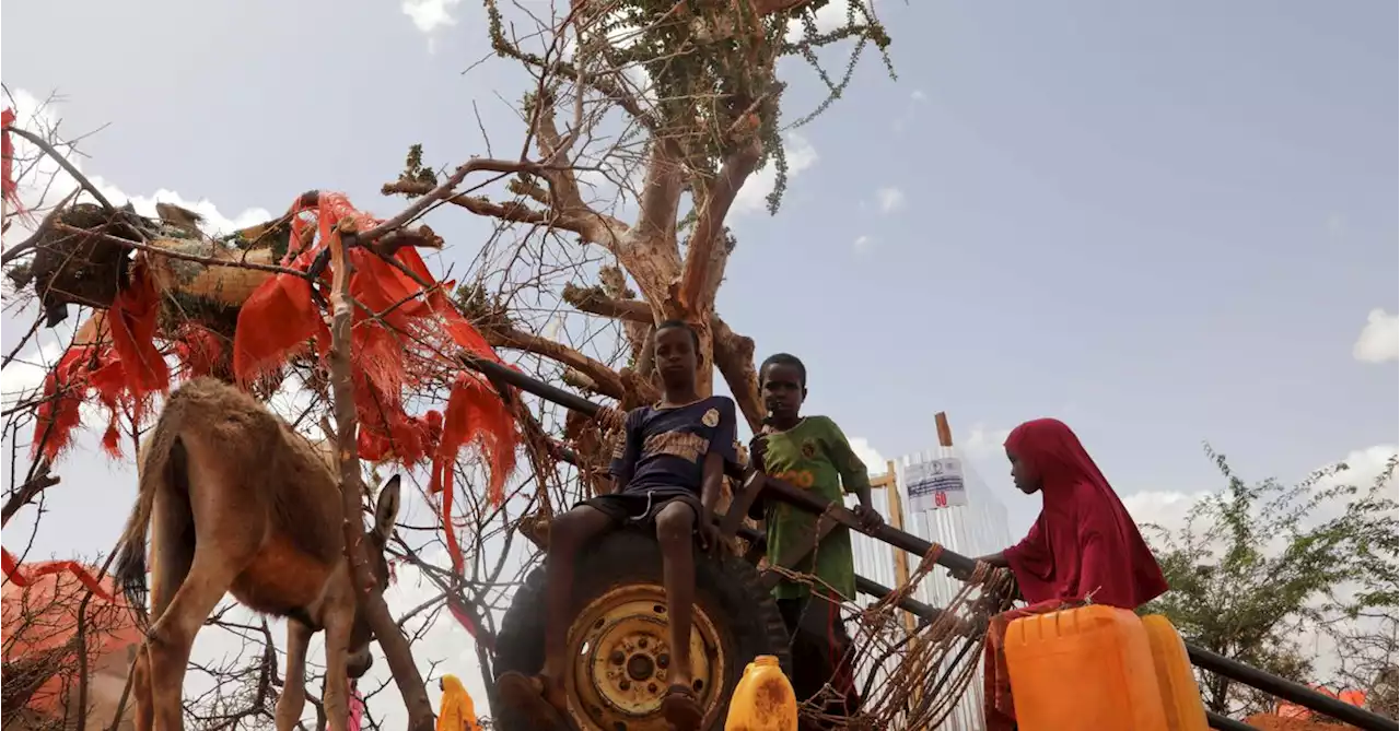 Famine in parts of Somalia 'at the door', says UN humanitarian chief