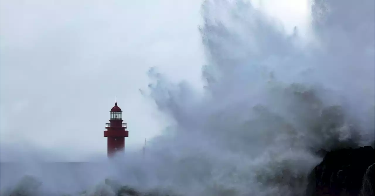 South Korea braces for 'very strong' typhoon, businesses curb operations