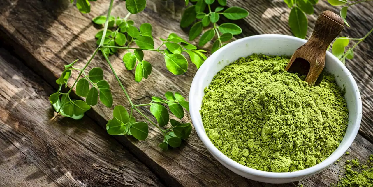 The Many Health Benefits of Moringa Powder, According to Nutritionists