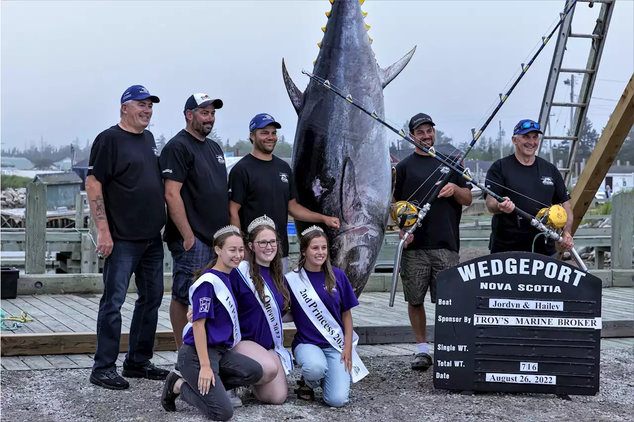 The tradition continues: Wedgeport tuna tournament a festive affair | SaltWire