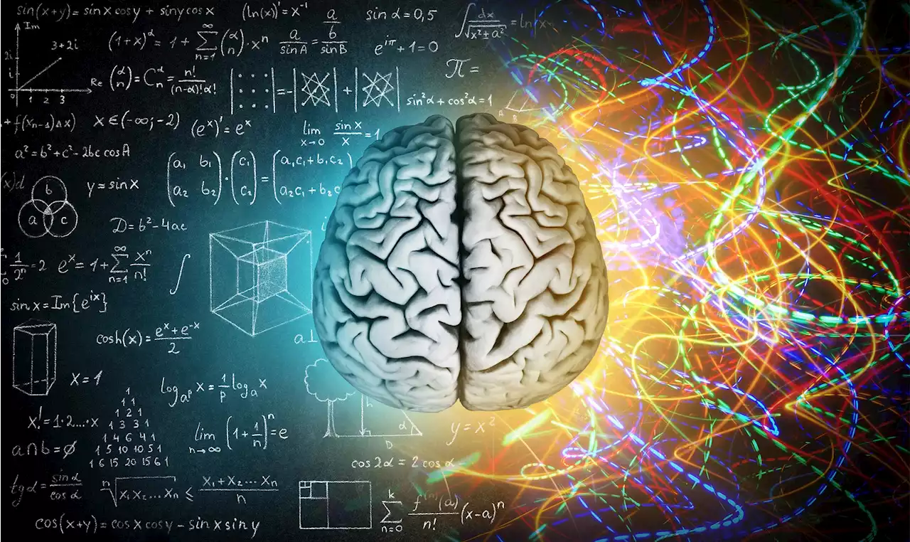 More Accurate Than Test Scores: Scientists Discover a New Way To Measure Learning