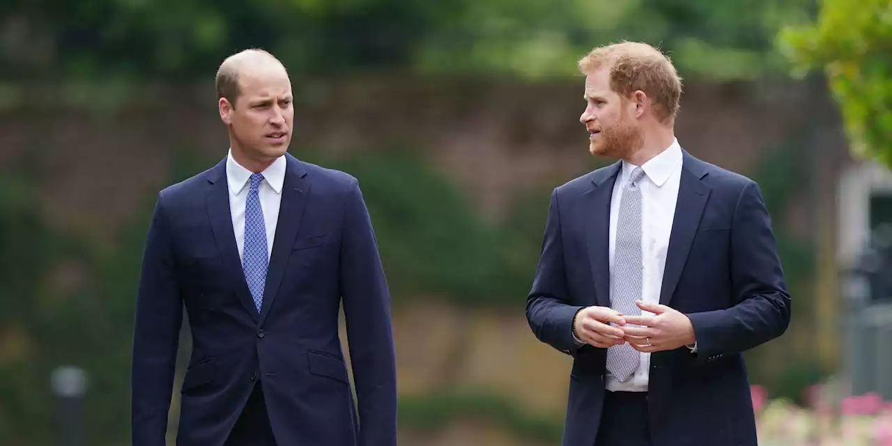 Welp, Prince William Refuses to See Prince Harry Until After His Memoir Is Released