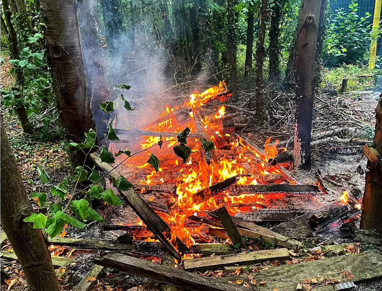 Arsonists start blaze in woods near Market Drayton