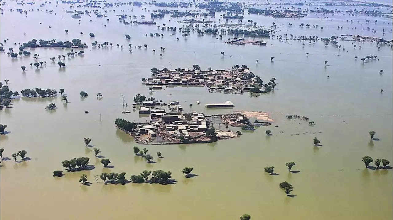 Ngeri! Korban Tewas Banjir Pakistan Tembus 1.265 Orang