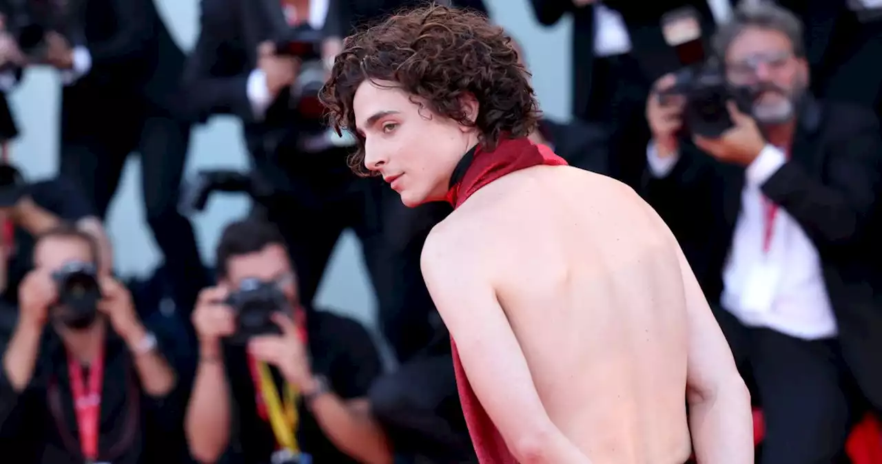 Timothée Chalamet Goes Backless In the Face of ‘Societal Collapse’