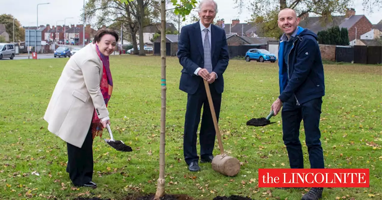 Council speeds up plans after over 90k trees planted in North Lincolnshire