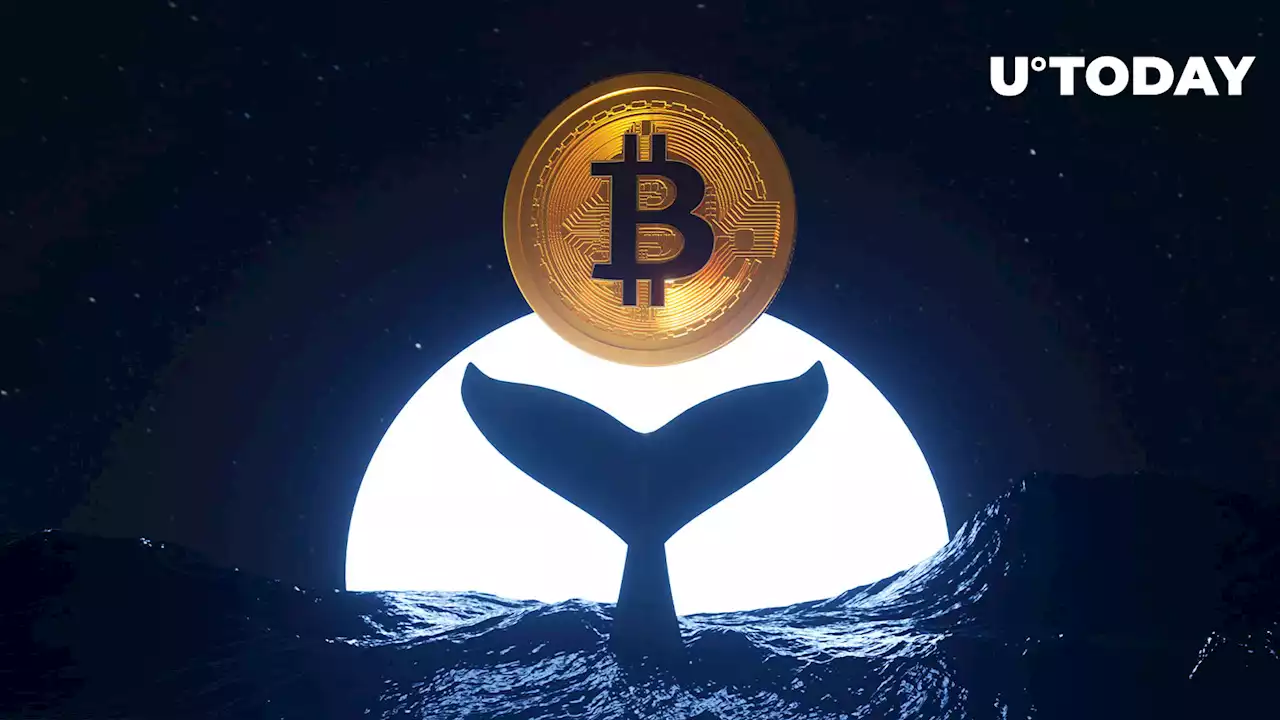 Ancient Bitcoin Whale Moves $100 Million