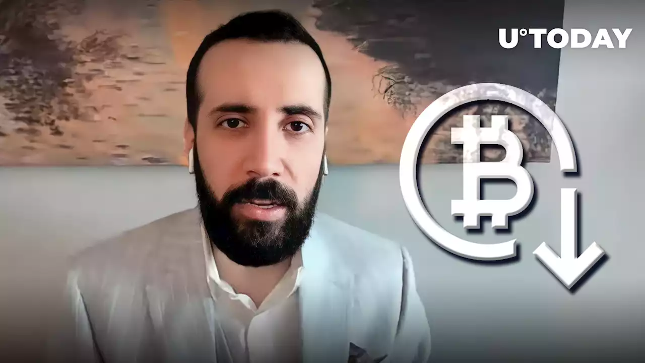 I Want Bitcoin to Go Lower, David Gokhshtein Says, Here's Why