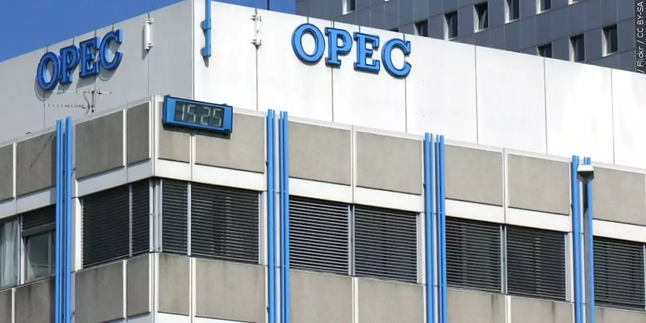 OPEC+ makes small trim to world oil supplies as prices fall