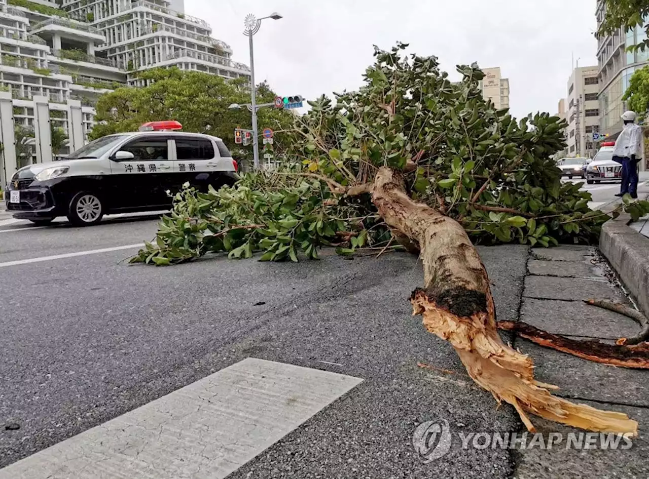 [태풍 힌남노] 일본 규슈도 비상…주민대피·임시휴교(종합2보) | 연합뉴스