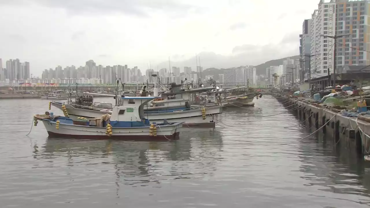 태풍 다가오는 부산 긴장감...파도 강해지고 비 시작