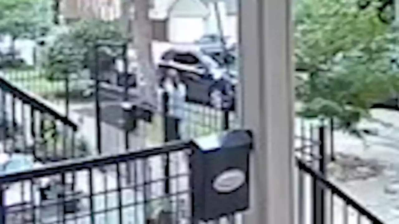 Woman robbed in broad daylight in Lakeview | Video