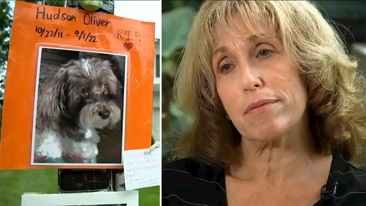 Long Island owner wants justice after her dog was mauled to death by another hound