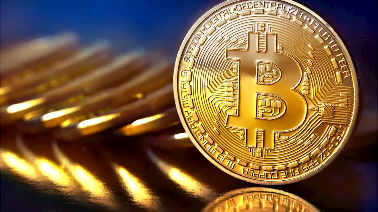 كيف يعيش سكان أول دولة يمكن شراء أي شيء فيها بـ'البيتكوين'؟ - صحيفة الوئام الالكترونية