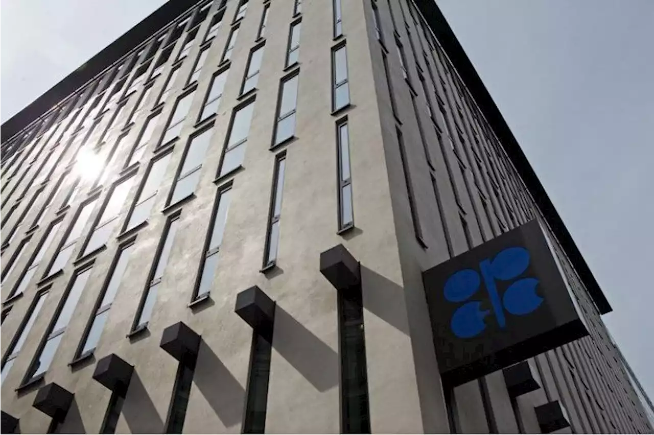 OPEC+ setujui pengurangan produksi minyak dalam jumlah kecil