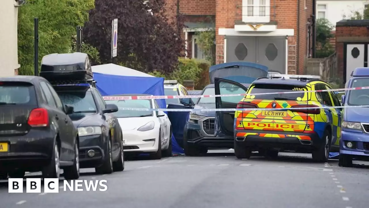 Streatham Hill: Man shot dead by armed police